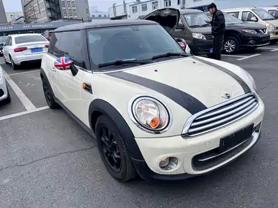 MINI MINI 2012