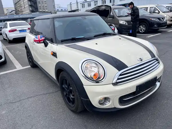MINI MINI 2012