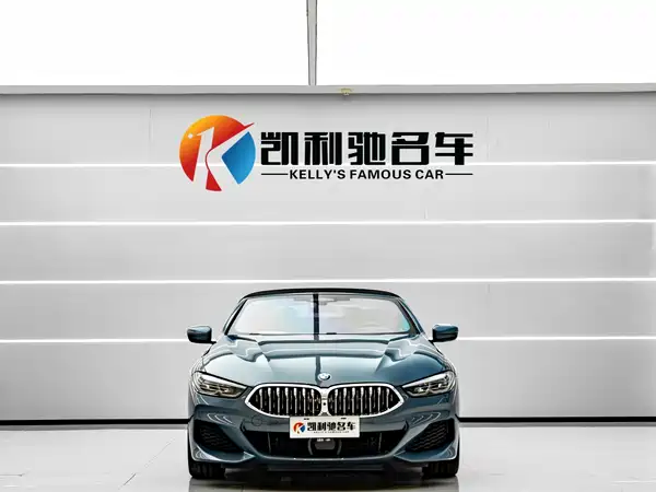 BMW 8 Series 2019