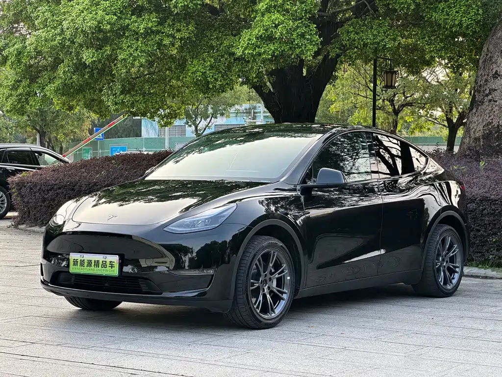 Tesla Model Y 2024 — фото 1