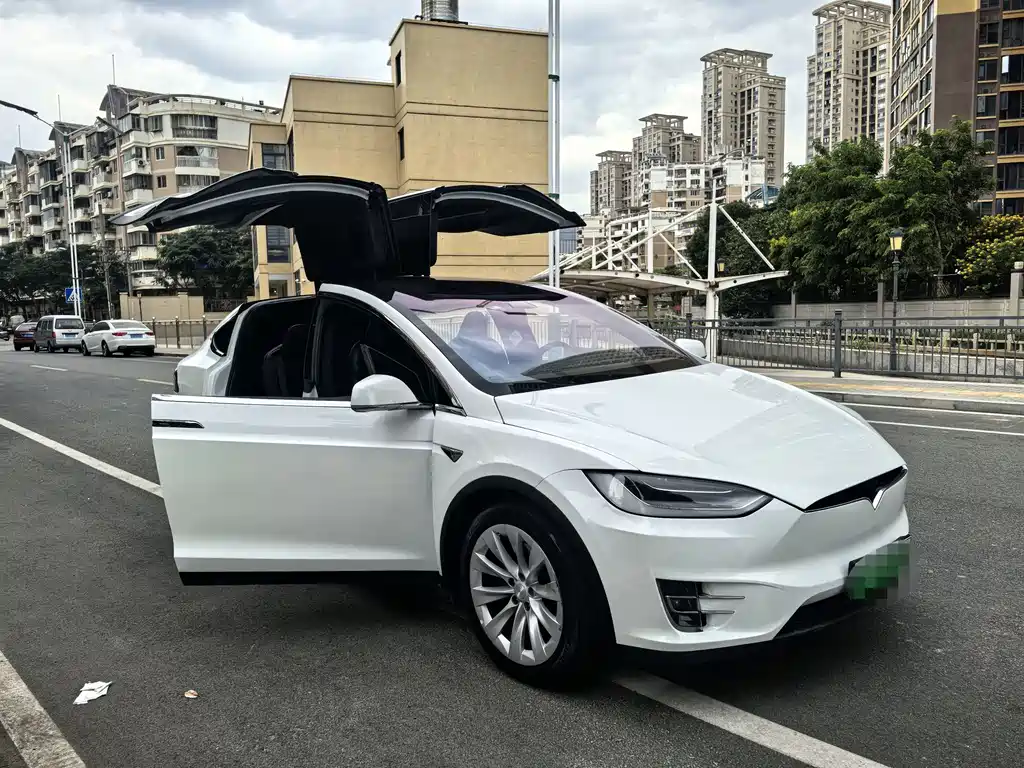 Tesla Model X 2020 — фото 4