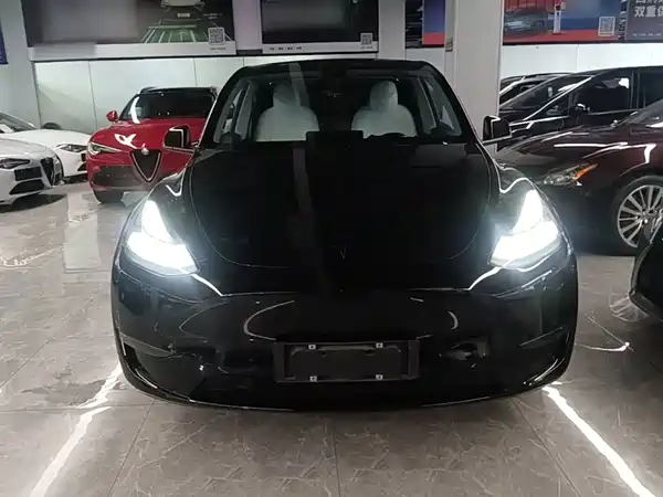 Tesla Model Y 2021
