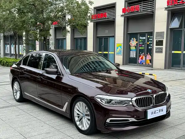 BMW 5 Series New Energy 2020
