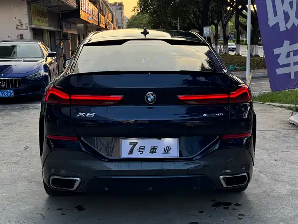 BMW X6 2021