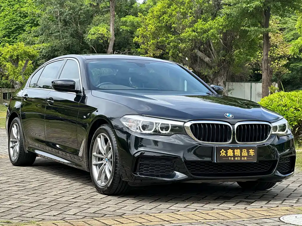BMW 5 Series 2020