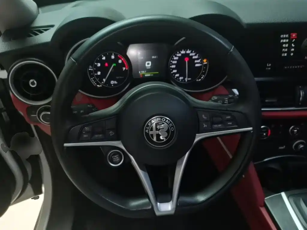 Alfa Romeo Stelvio 2019 — фото 11