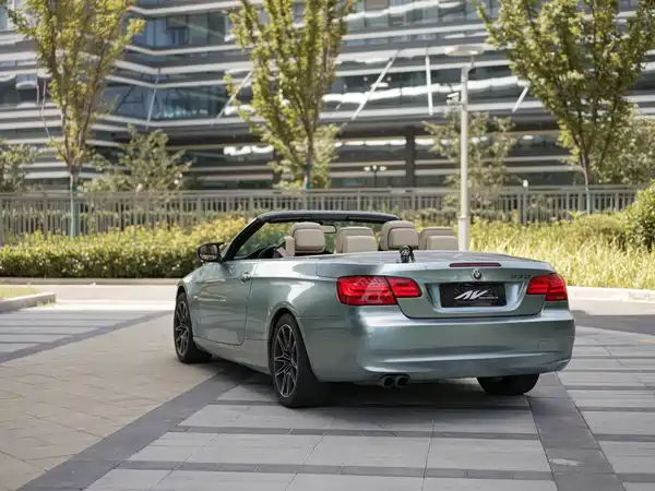 BMW 3 Series 2010