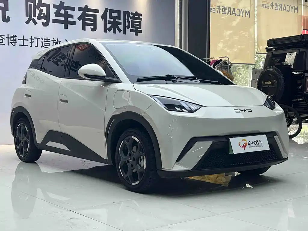 BYD Seagull 2024