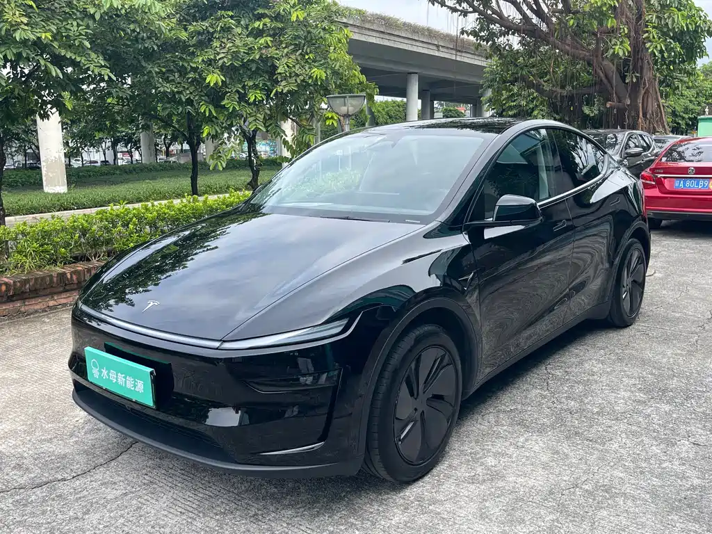 Tesla Model Y 2025 — фото 1