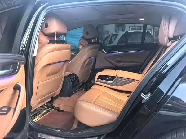 BMW 5 Series New Energy 2020