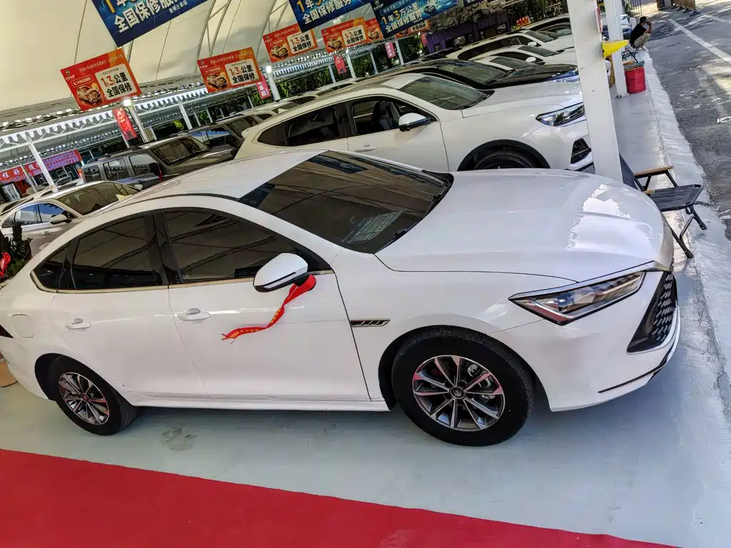 BYD Qin PLUS 2024 — фото 13