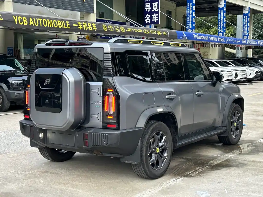 Shanhai Traveller C-DM 2025 — фото 6