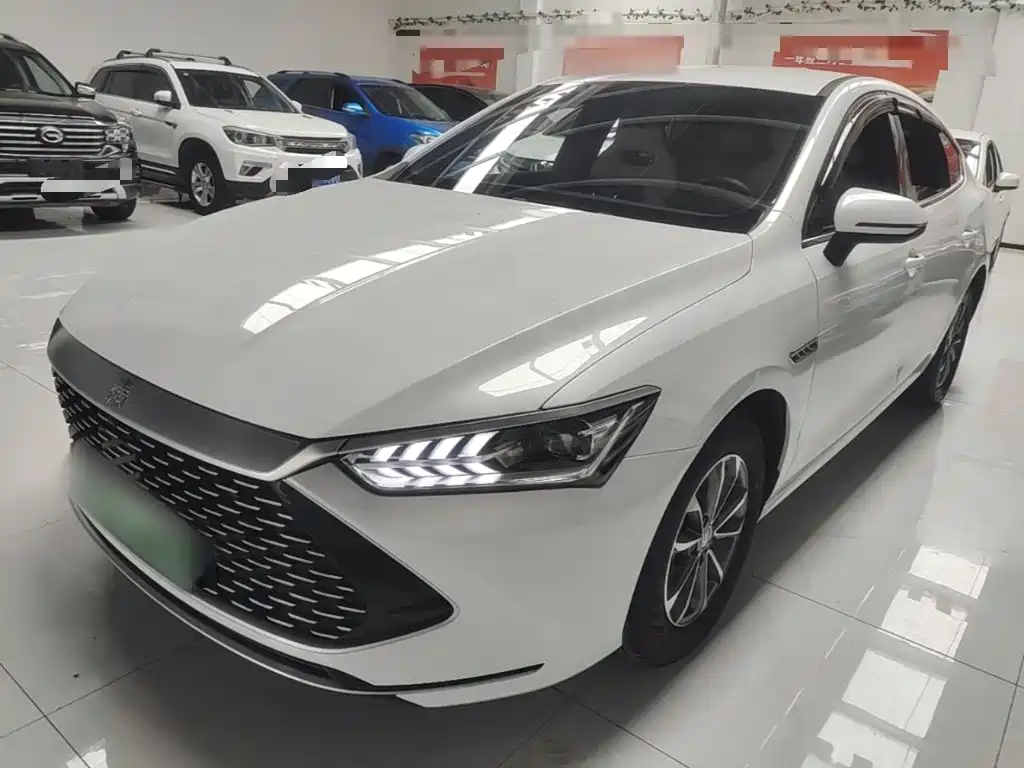 BYD Qin PLUS 2024 — фото 2