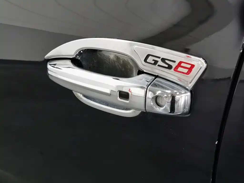 GAC Trumpchi GS8 2018 — фото 18