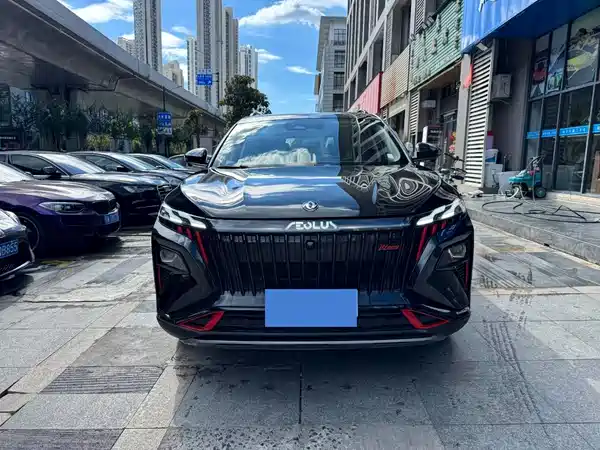 Dongfeng Haoji 2024