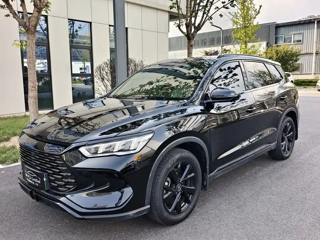 BYD Song Pro New Energy 2024 — фото 1