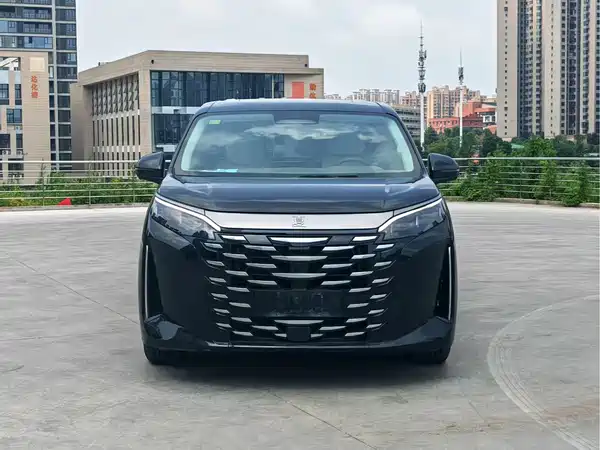 BYD Summer 2025