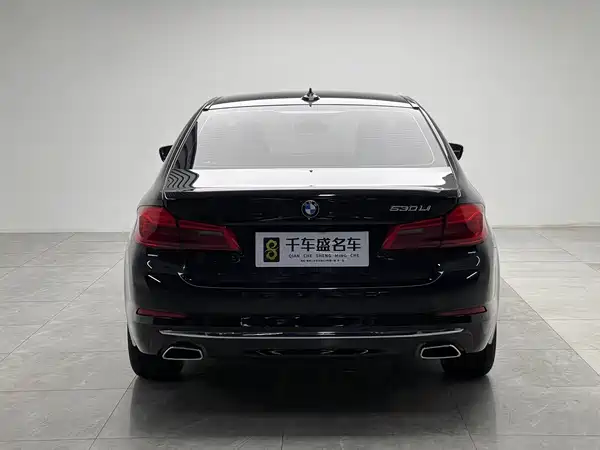 BMW 5 Series 2019