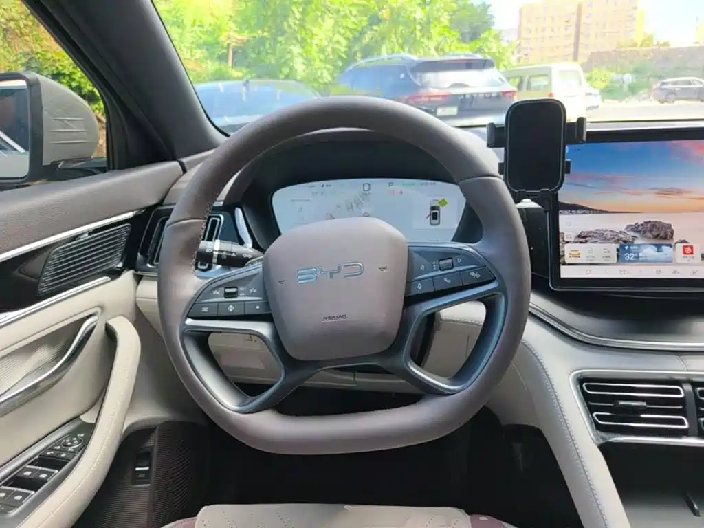 BYD Song PLUS New Energy 2025 — фото 11
