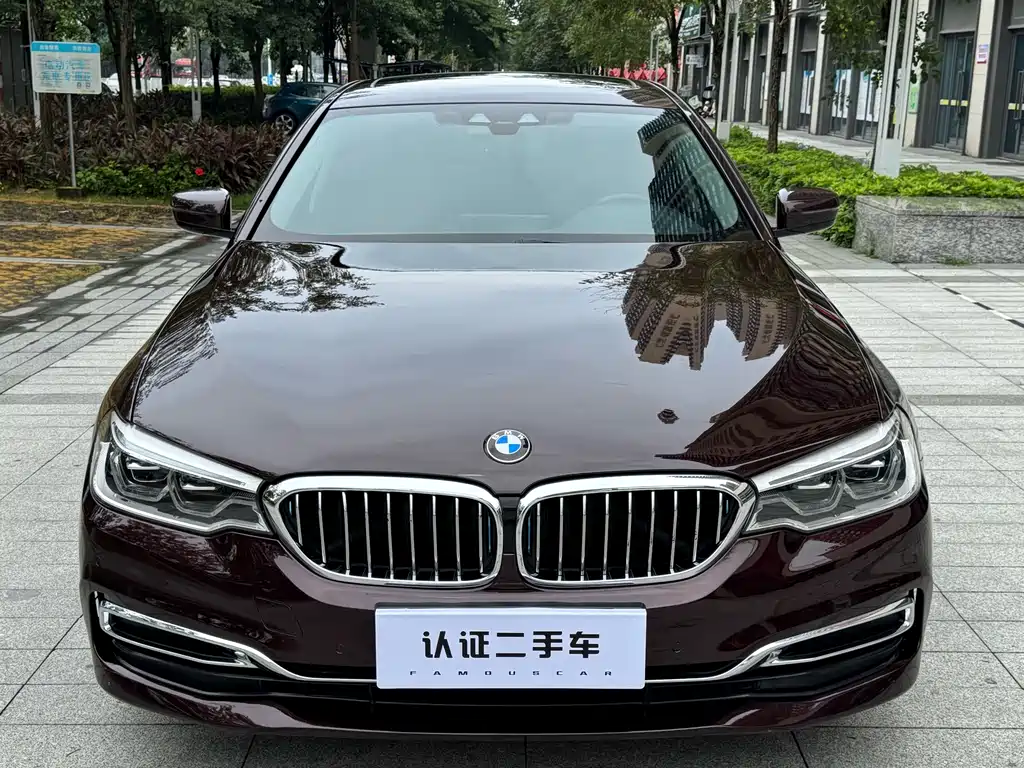 BMW 5 Series New Energy 2020 — фото 2