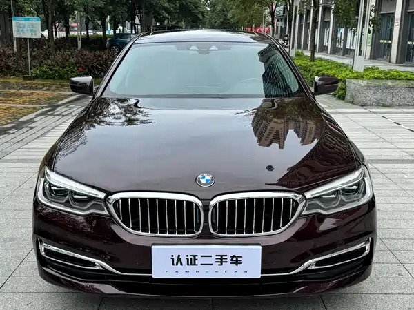 BMW 5 Series New Energy 2020