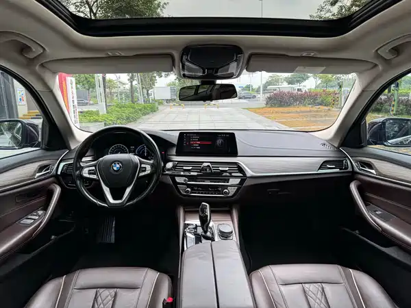 BMW 5 Series New Energy 2020