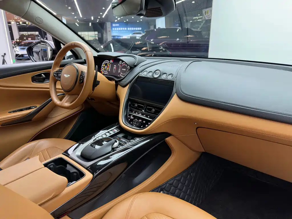 Aston Martin DBX 2021 — фото 13