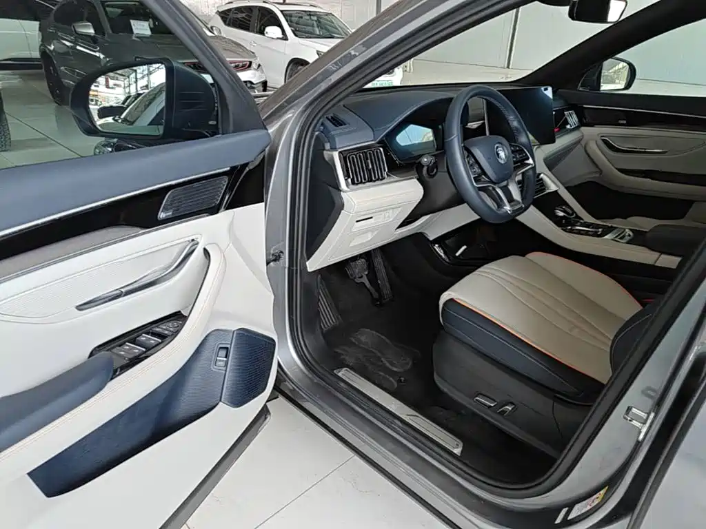 BYD PLUS New Energy 2022 — фото 12