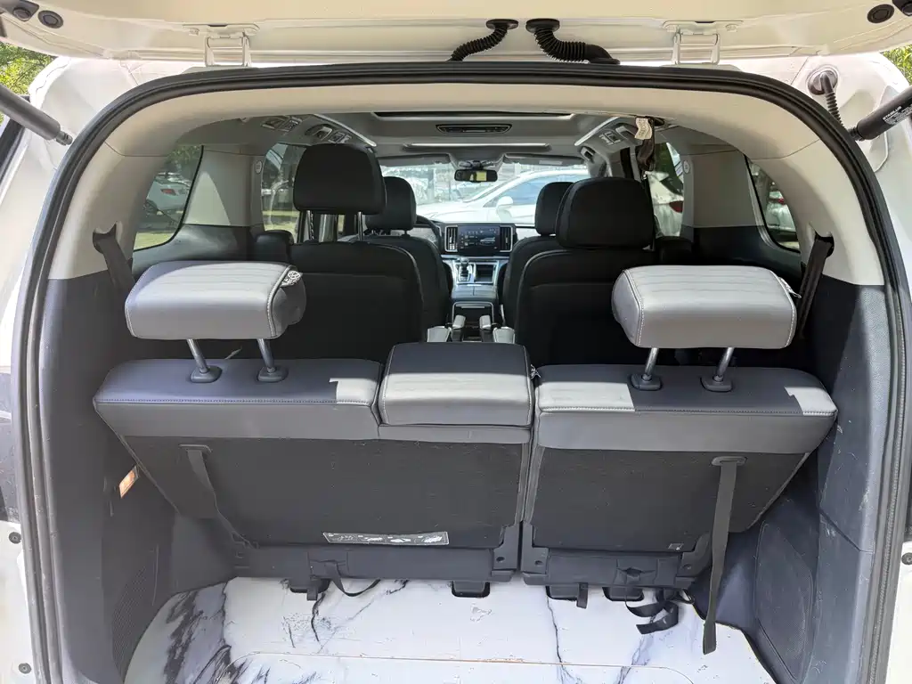 GAC Motor Trumpchi M8 2021 — фото 14