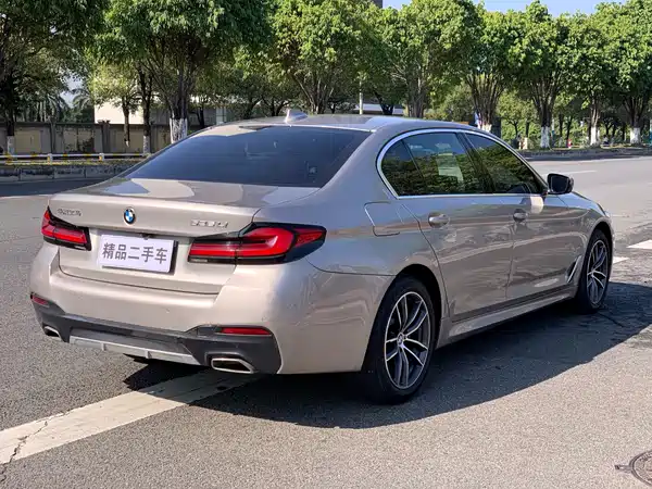 BMW 5 Series 2021