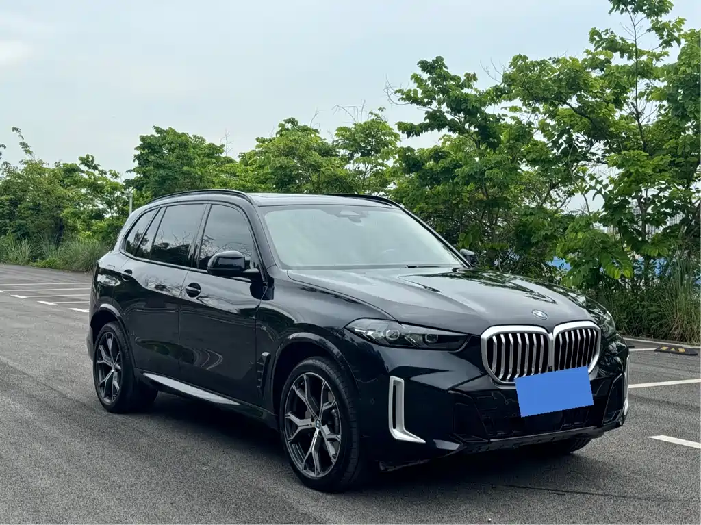 BMW X5 2024