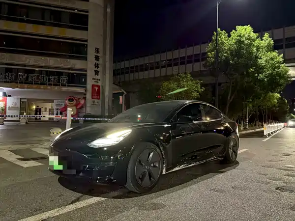 Tesla Model 3 2021
