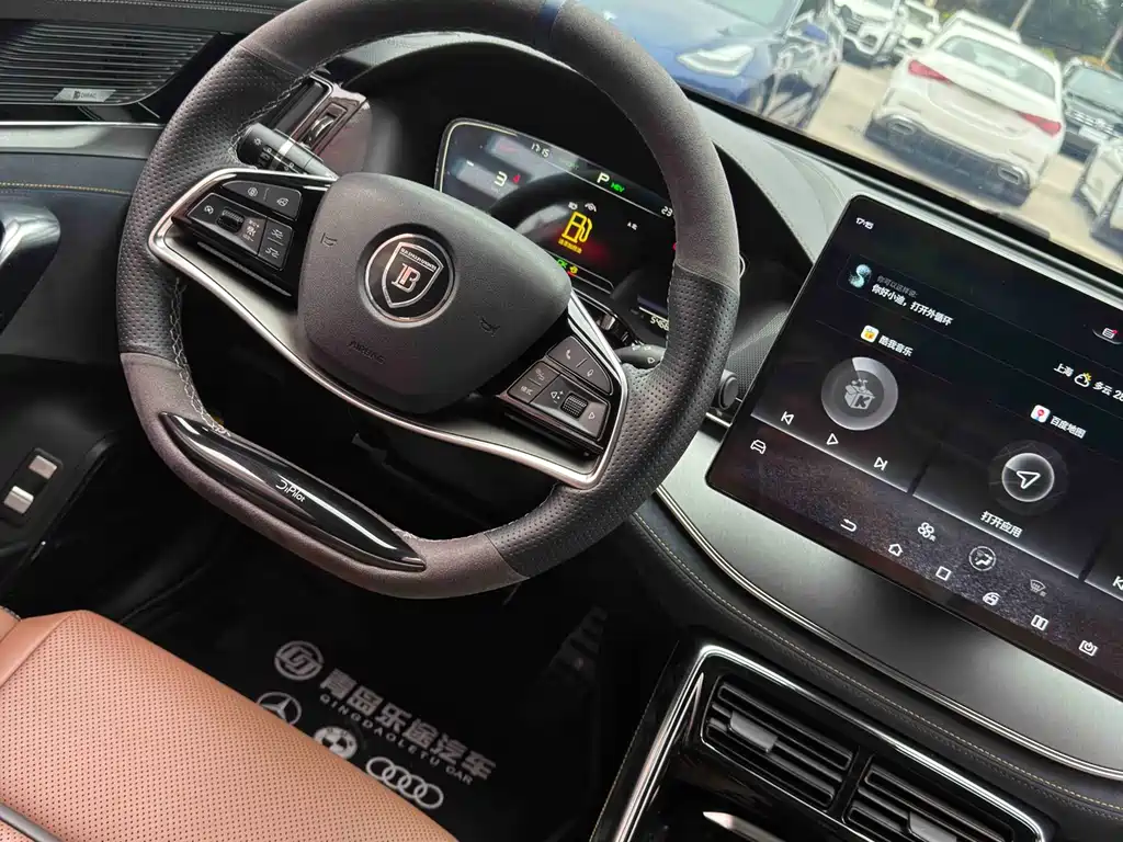 BYD Tang New Energy 2020 — фото 14