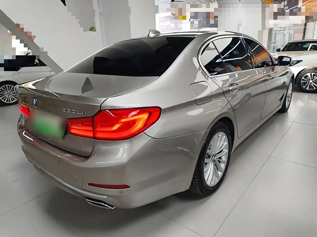 BMW 5 Series New Energy 2020