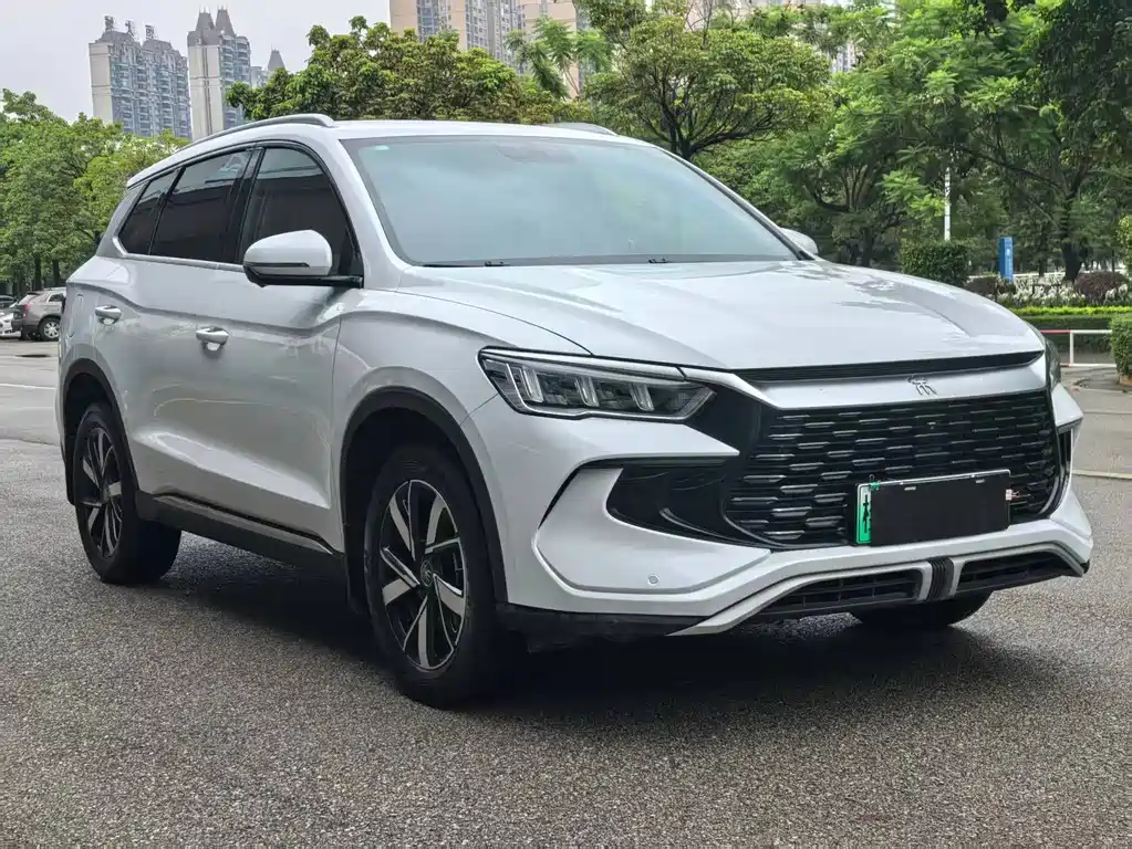 BYD Song Pro New Energy 2024 — фото 3