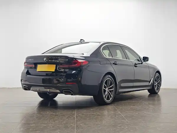 BMW 5 Series New Energy 2021