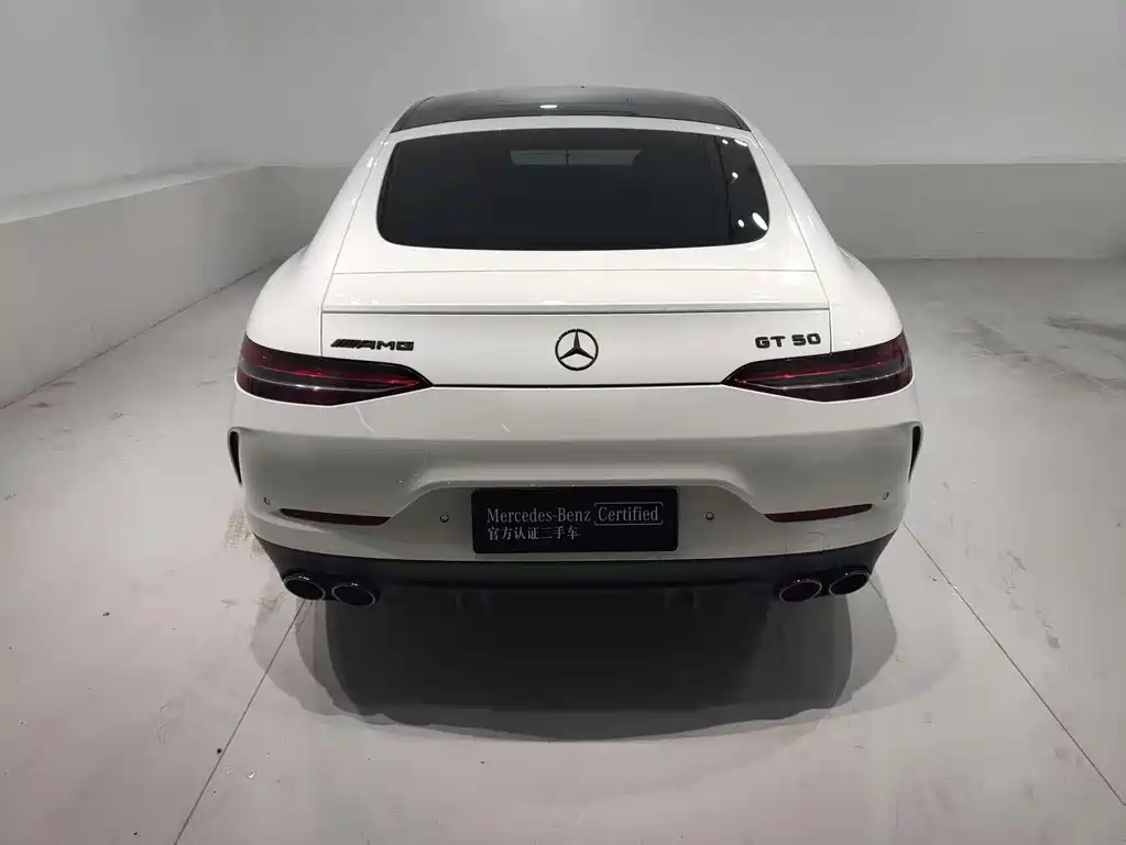 Mercedes-Benz AMG GT 2024 — фото 13
