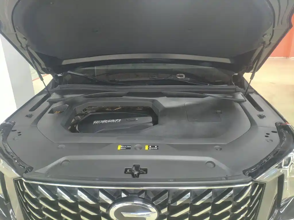 GAC Trumpchi GS8 2022 — фото 16