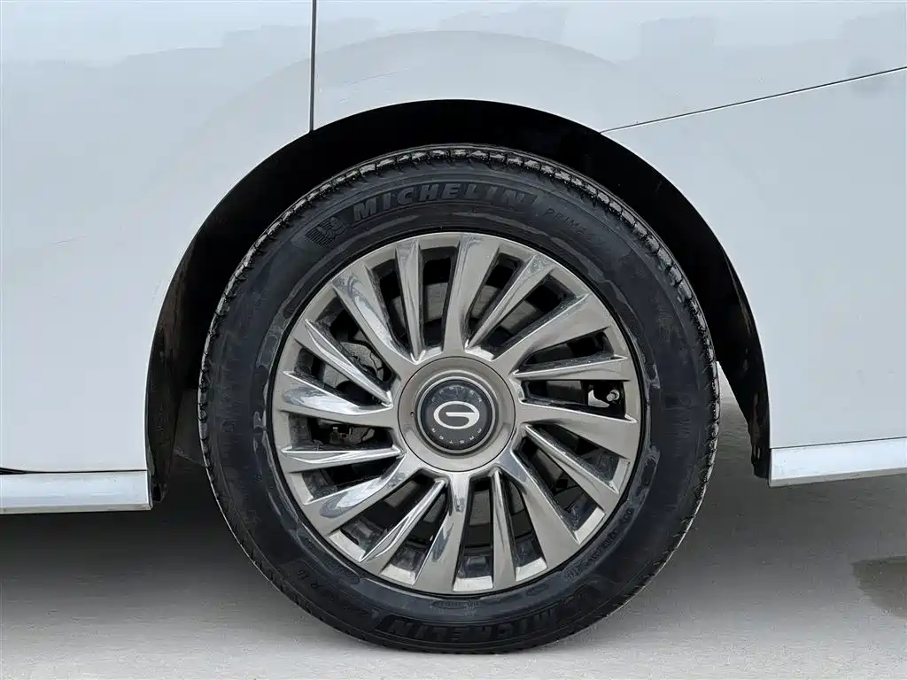 GAC Motor Trumpchi M8 2023 — фото 18