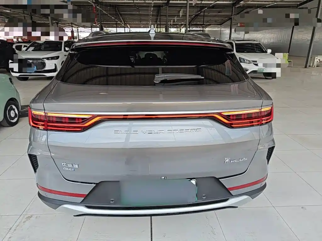 BYD PLUS New Energy 2022 — фото 4