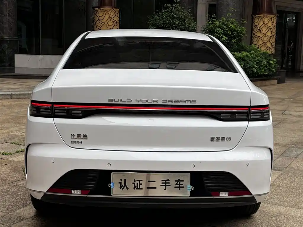 BYD Destroyer 05 2024 — фото 13