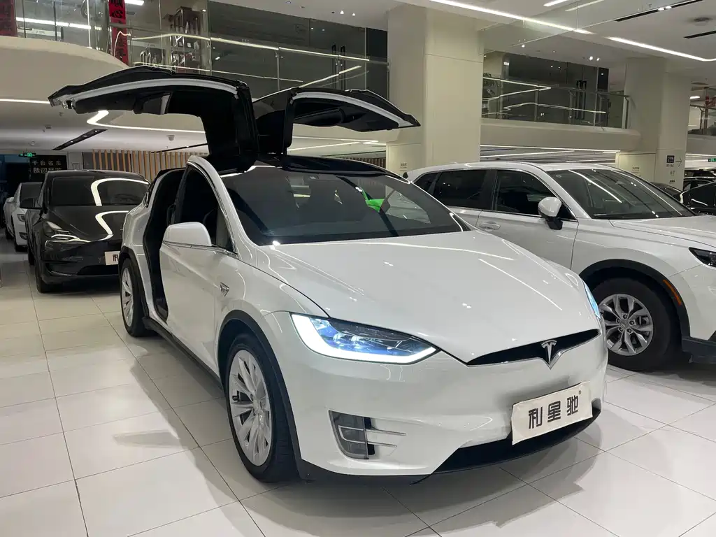 Tesla Model X 2019