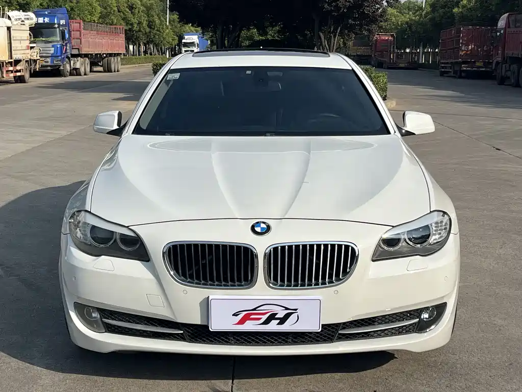 BMW 5 Series 2010