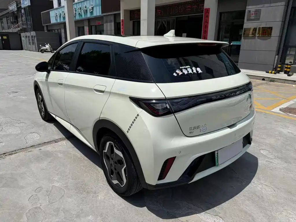 BYD Dolphin 2022