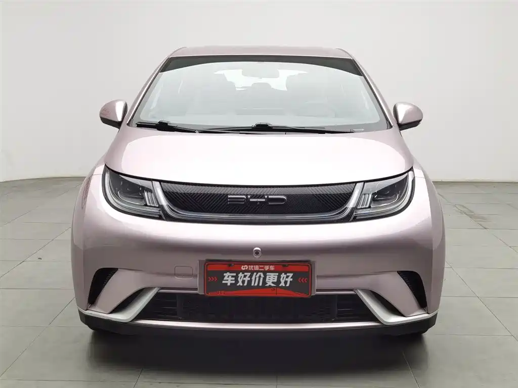BYD Dolphin 2023