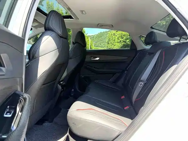 Geely Binrui 2022