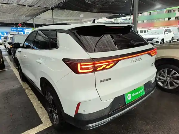 Dongfeng Haoji 2022
