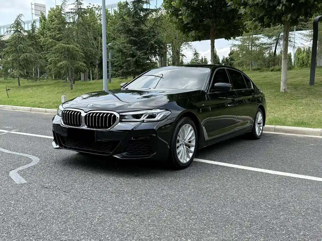 BMW 5 Series 2019 — фото 1
