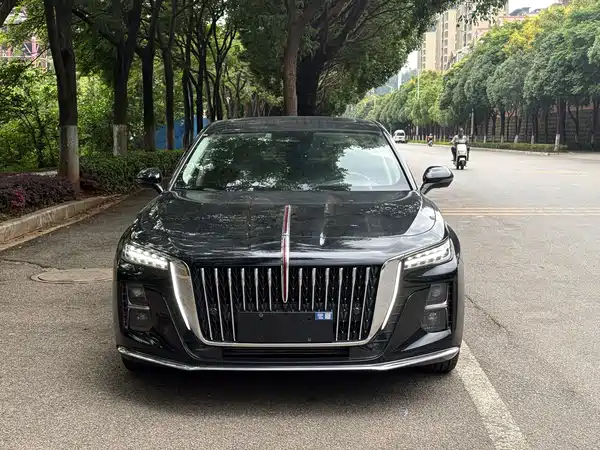 Hongqi H5 2023