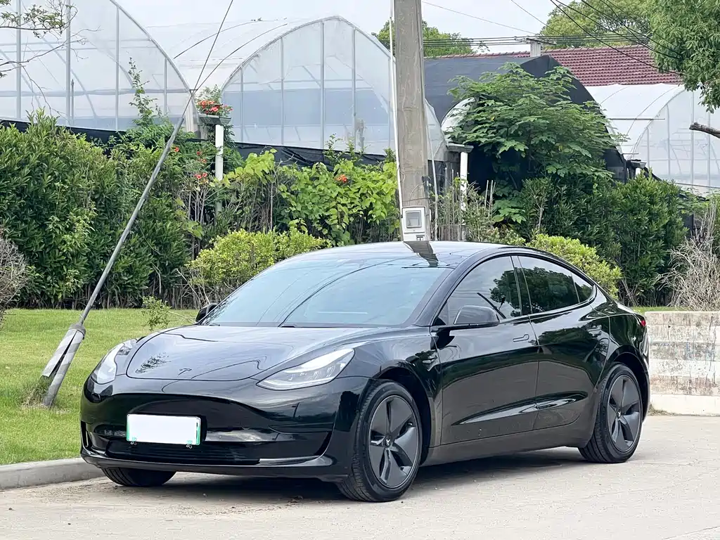 Tesla Model 3 2020 — фото 1